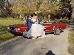 Louer une FORD Mustang de de 1967 (Photo 1)