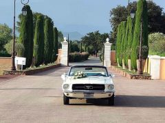 Louer une FORD Mustang de de 1967 (Photo 2)