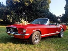 FORD Mustang (Photo 1)