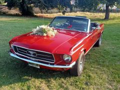 FORD Mustang (Photo 2)