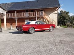 FORD Mustang (Photo 4)