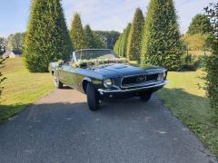 FORD Mustang (Photo 1)
