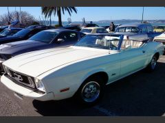 Louer une FORD Mustang de de 1973 (Photo 1)