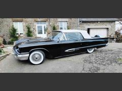 Louer une FORD Thunderbird 300CV de de 1959 (Photo 2)