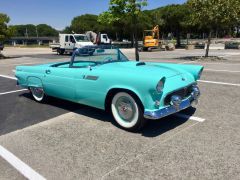 Louer une FORD Thunderbird de de 1955 (Photo 1)