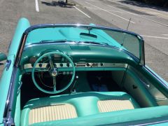 Louer une FORD Thunderbird de de 1955 (Photo 4)