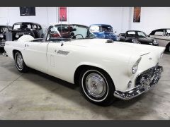 Louer une FORD Thunderbird de de 1956 (Photo 2)