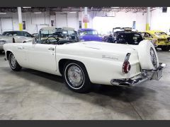 Louer une FORD Thunderbird de de 1956 (Photo 4)