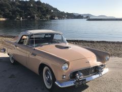 Louer une FORD Thunderbird de de 1956 (Photo 3)