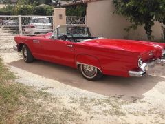 Louer une FORD Thunderbird de de 1957 (Photo 4)