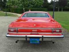 Louer une FORD Torino Starsky et Hutch de de 1975 (Photo 3)