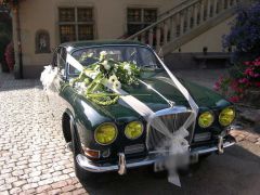 JAGUAR 420 (Photo 1)