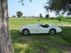 Louer une JAGUAR XK 120 OTS de de 1950 (Photo 1)