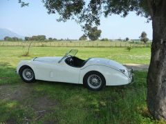 Louer une JAGUAR XK 120 OTS de de 1950 (Photo 2)