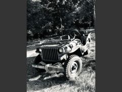 Louer une JEEP Willys de de 1966 (Photo 4)