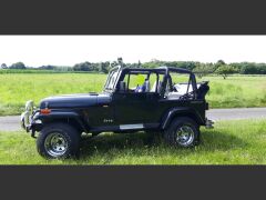 Louer une JEEP Wrangler de de 1994 (Photo 3)