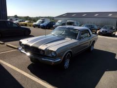 Louer une MUSTANG GT 350 Coupé Sport  de de 1965 (Photo 1)