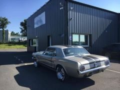 Louer une MUSTANG GT 350 Coupé Sport  de de 1965 (Photo 2)