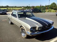 Louer une MUSTANG GT 350 Coupé Sport  de de 1965 (Photo 3)