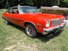 Louer une OLDSMOBILE Omega 200 CV de de 1973 (Photo 1)