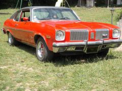 Louer une OLDSMOBILE Omega 200 CV de de 1973 (Photo 2)