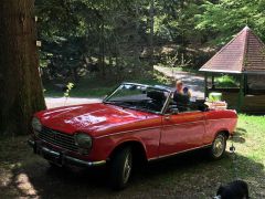 Louer une PEUGEOT 204 de de 1970 (Photo 1)