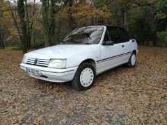 Louer une PEUGEOT 205 CJ de de 1994 (Photo 1)