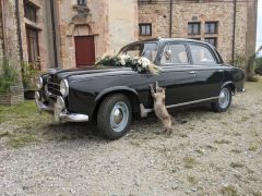 Louer une PEUGEOT 403 de de 1956 (Photo 3)