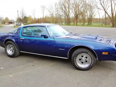 Louer une PONTIAC FIREBIRD Formula 400 de de 1976 (Photo 2)