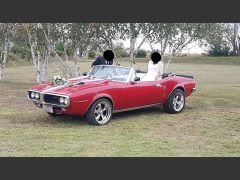 Louer une PONTIAC Firebird Mustang 285CV de de 1967 (Photo 5)