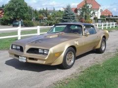 Louer une PONTIAC TRANS AM GOLD EDITION de de 1978 (Photo 1)