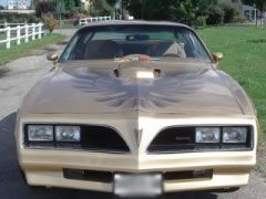 Louer une PONTIAC TRANS AM GOLD EDITION de de 1978 (Photo 2)