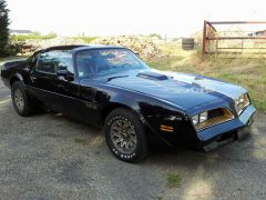 Louer une PONTIAC Trans AM de 1977 (Photo 0)