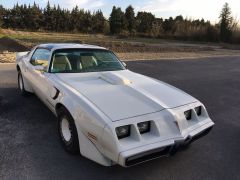 Louer une PONTIAC Trans AM de 1980 (Photo 0)