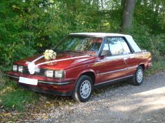 RENAULT Alliance DL Convertible (Photo 1)