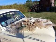 RENAULT Dauphine (Photo 2)