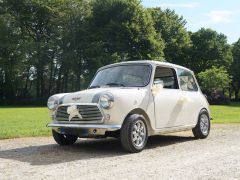 ROVER Mini (Photo 1)