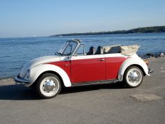 VOLKSWAGEN 1303 (Photo 2)