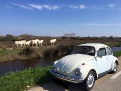 Louer une VOLKSWAGEN Coccinelle  de de 1971 (Photo 2)