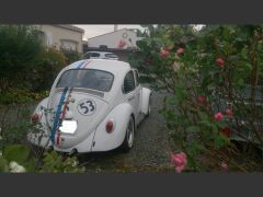 Louer une VOLKSWAGEN Coccinelle Choupette de de 1970 (Photo 4)