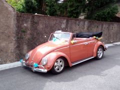 VOLKSWAGEN Coccinelle (Photo 1)