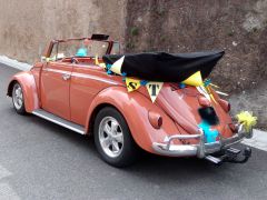 Louer une VOLKSWAGEN Coccinelle de de 1957 (Photo 3)