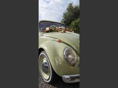 Louer une VOLKSWAGEN Coccinelle de de 1962 (Photo 3)