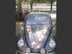 VOLKSWAGEN Coccinelle (Photo 4)