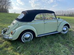 Louer une VOLKSWAGEN Coccinelle de de 1965 (Photo 4)