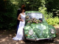 VOLKSWAGEN Coccinelle (Photo 1)