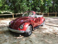 VOLKSWAGEN Coccinelle (Photo 2)