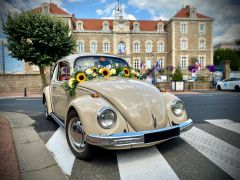 VOLKSWAGEN Coccinelle (Photo 1)