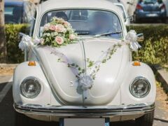 VOLKSWAGEN Coccinelle (Photo 5)