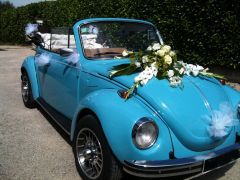 VOLKSWAGEN Coccinelle (Photo 1)